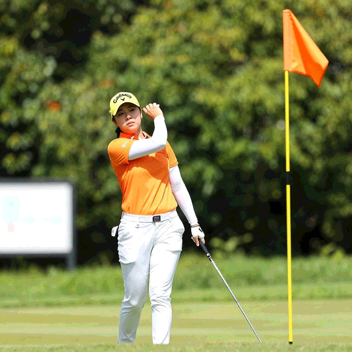Adam Scott ở tuổi 50: Chiếc Presidents Cup không bao giờ thuộc về ông